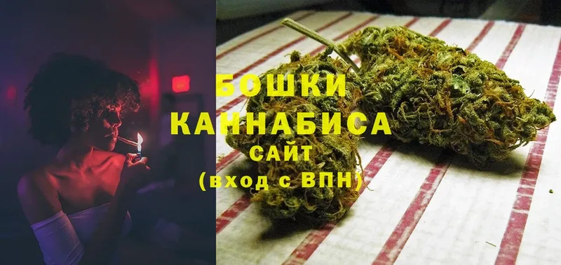 Конопля сатива  купить  цена  Купино 